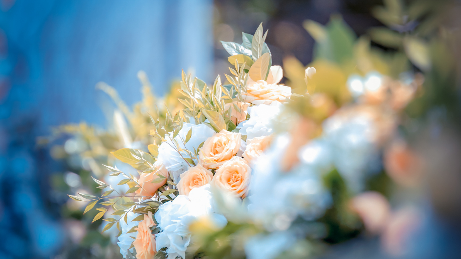 1720747832117291.jpg 1630642588.jpg